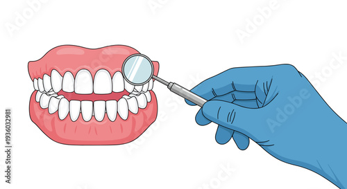 A gloved hand holding a dental mirror inspects a detailed model of a human jaw with complete sets of upper and lower teeth on a white background.