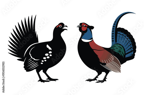 Pheasant and Capercaillie Birds Vector Illustration