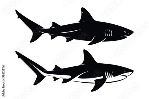 Predator Sharks Silhouette Vector Illustration