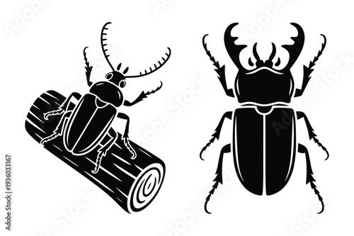 Stag Beetle Insect Vector Silhouette Icons