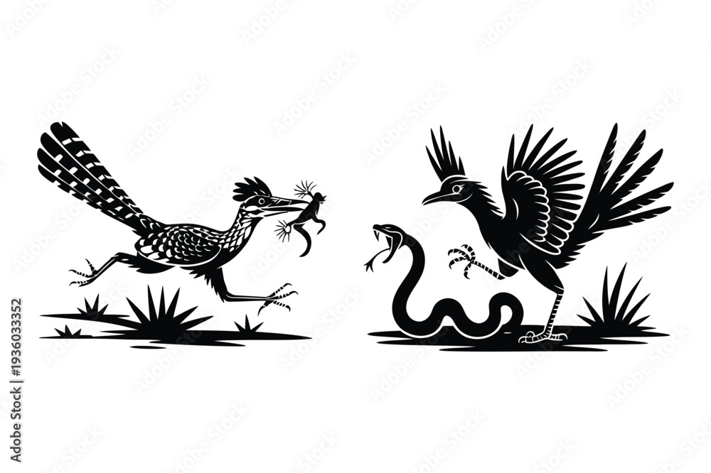 Fototapeta premium Roadrunner Chasing Lizard, Roadrunner Fighting Snake Silhouette