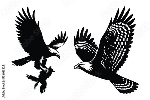 Eagle Attacking Bird in Flight, Majestic Raptor Silhouette Vector