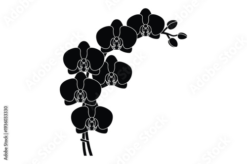 Black Orchid Flower Silhouette Vector Illustration