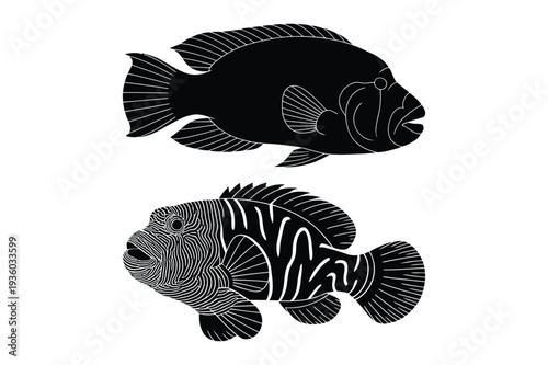 Exotic fish, tropical aquarium, underwater life