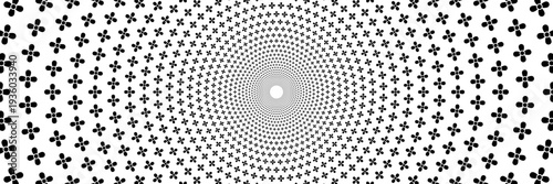 horizontal beautiful spin black flowers on white for background and design.