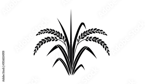 Black silhouette of a wheat plant on a pure for design and decoration purposes