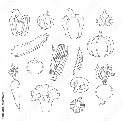 Black and white line of various fresh vegetables and produce food