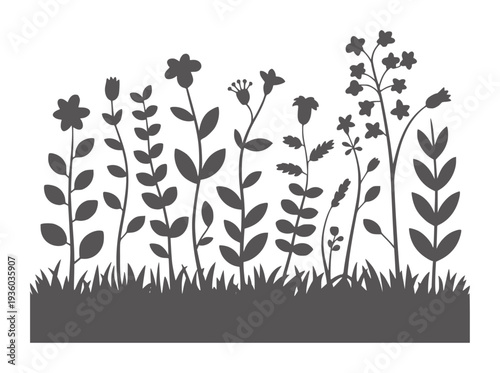 Dark gray silhouette of various wild flowers and grass against white plants nature