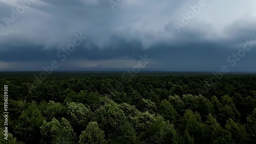 A high-angle forest view, lush green trees under a vast cloudy sky. Dark clouds overshadow the scene, casting a deep hue