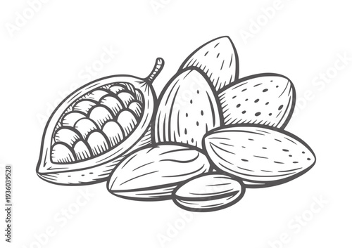Black and white line of a pile of almonds and a cocoa pod fruit