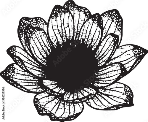 Set of decorative rose with leaves. Flower Silhoutte. Vector illustration , Set of luxury flowers and logo. Trendy botanical elements. 