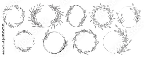 Set of black and white lavender wreaths and frames. Detailed botanical line art collection with circular borders, floral arrangements and elegant herb elements for branding design