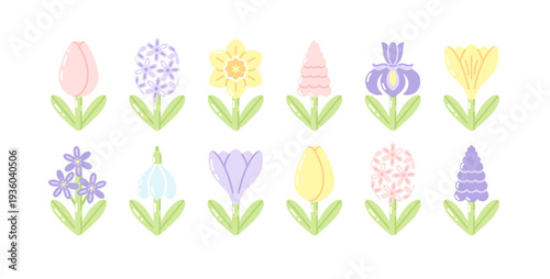 Early spring flowers set: crocus, snowdrop, tulip, daffodil, hyacinth, muscari, iris and scilla. Various bulbous plants. Cute floral design elements.