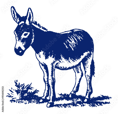 Side view of a standing donkey in vintage woodcut style