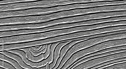 Abstract Wood Grain Texture Black and White Close-up Pattern