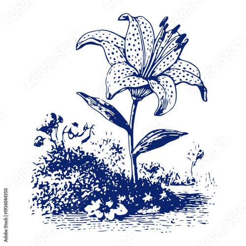 Beautiful easter lily flower blooming in nature hand drawn in vintage engraving style