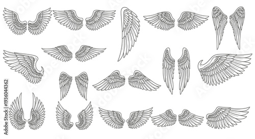 Collection of Angel Wings, Tattoo Design Elements, Sketch Style