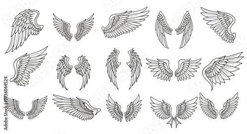 Collection of Diverse Angel Wing Illustrations - Hand Drawn Sketch Style