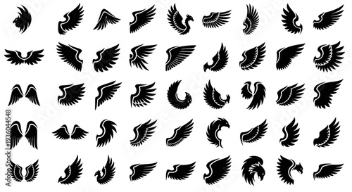 Collection of Diverse Wing Silhouettes - Angelic, Tribal, and Decorative