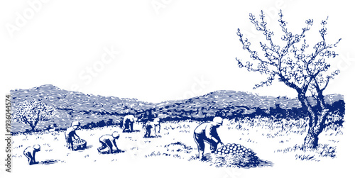 Rural landscape engraving of people working in the fields during spring harvest time