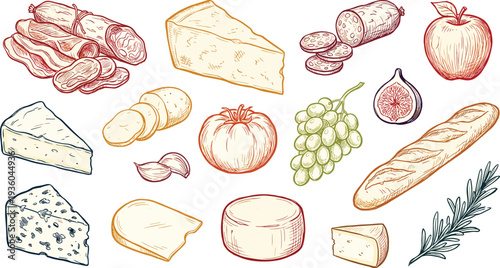 Hand drawn deli food illustration set with cheese, salami, bread, fruits and herbs, vintage engraving style gourmet ingredients collection