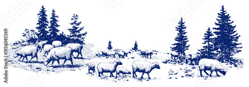 Flock of sheep and lambs grazing in a scenic landscape with pine trees
