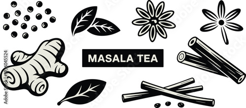 Masala tea spice ingredients illustration with ginger cinnamon star anise pepper and tea leaves, traditional chai vector set