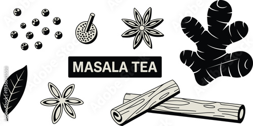 Masala tea spices ingredients set with ginger cinnamon star anise pepper and tea leaf, chai herbal drink vector illustration