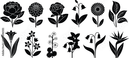 Vintage botanical flower silhouettes collection with rose peony lily bell flowers and leaves, floral garden vector illustration set