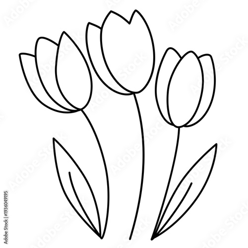 Black line tulips vector illustration. Line Flower bloom, garden drawing. Spring nature decoration. Outline three flowers art isolated on white background. Botanical design elements.  Coloring art