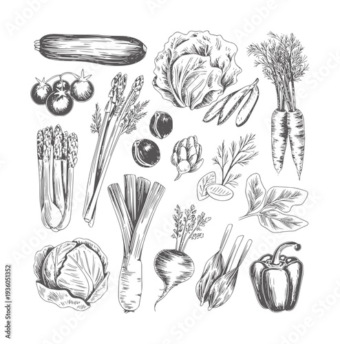 Black and white ink of assorted fresh vegetables food