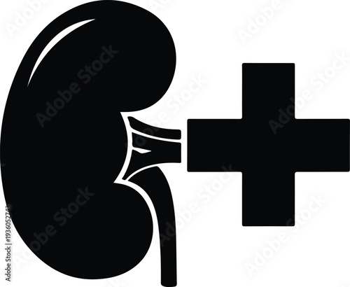 Silhouette human kidney with medical cross symbol healthcare vector illustration