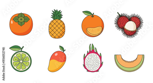Assorted tropical fruits in vector style