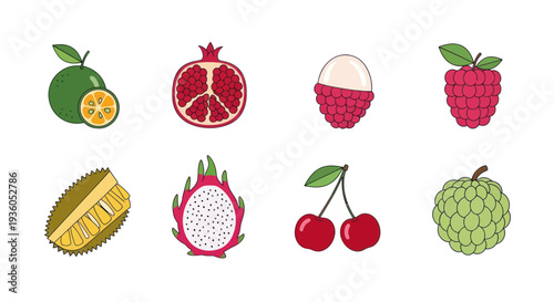 Assortment of colorful fresh fruits