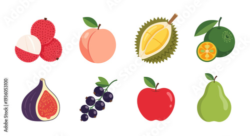 Assortment of fresh fruits vector illustration