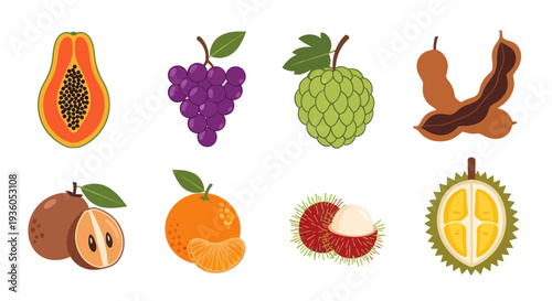 Assortment of fresh tropical fruits on white