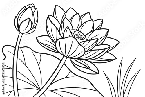 coloring page line art the lotus flower black vector