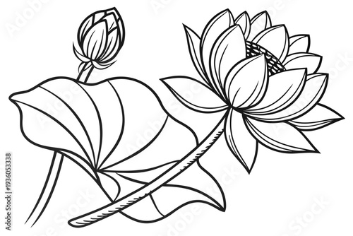 coloring page line art the lotus flower black vector