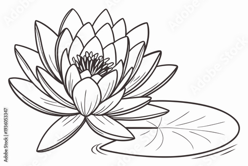 coloring page line art the lotus flower black vector