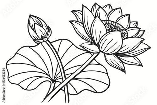 coloring page line art the lotus flower black vector