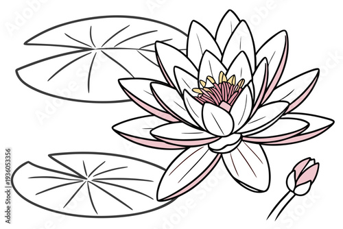 coloring page line art the lotus flower black vector