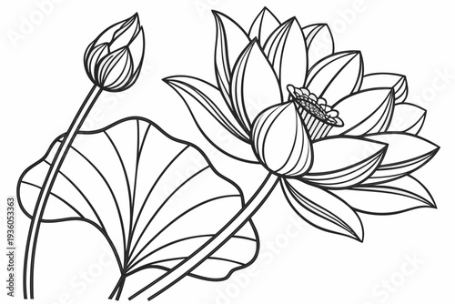 coloring page line art the lotus flower black vector