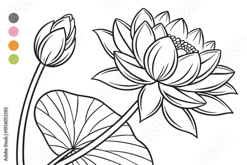 coloring page line art the lotus flower black vector