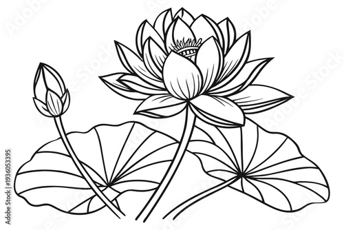 coloring page line art the lotus flower black vector