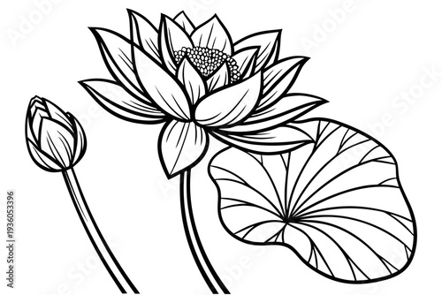 coloring page line art the lotus flower black vector