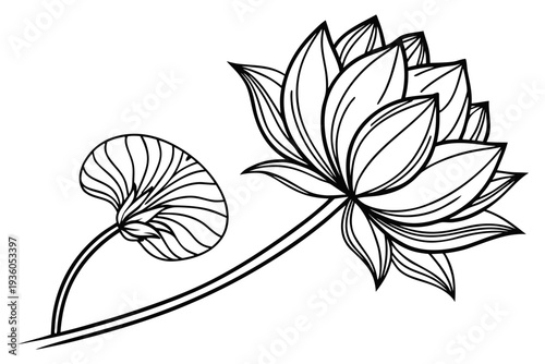 coloring page line art the lotus flower black vector
