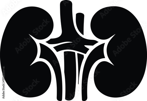 Silhouette paired human kidneys with vessels medical health symbol vector illustration