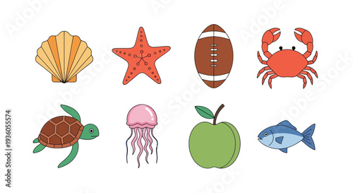 Cartoon sea creatures and objects illustration