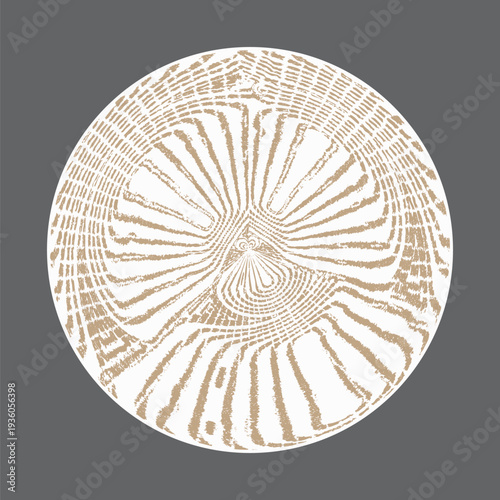 background of wabi sabi slyle with simple and organic abstract shapes and flowers in vases. best colors for wabi sabi and japandy style. contemporary vector illustration, round carpet pattern design