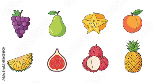 Colorful assortment of fresh tropical fruits